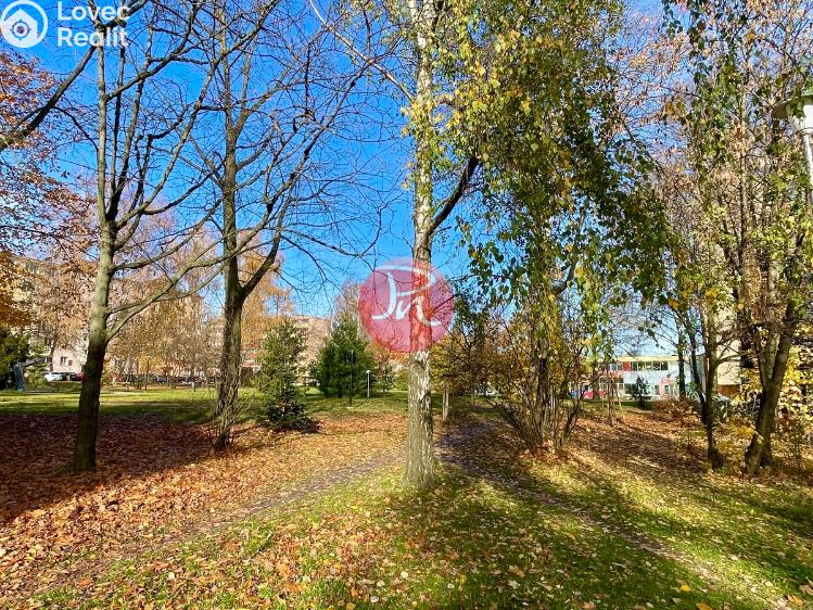 Pronájem bytu 1+KK Ostrava, Sokolovská č. 15