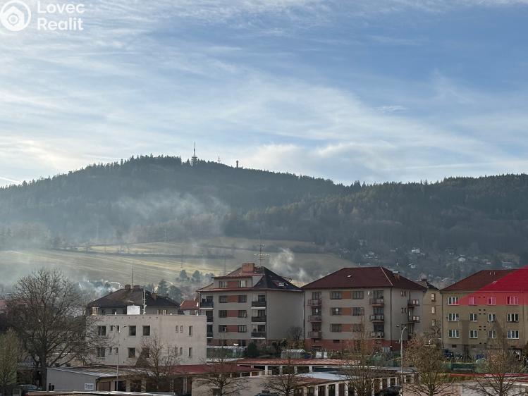 Pronájem bytu 2+1 Sušice, Sirkařská 983 č. 13