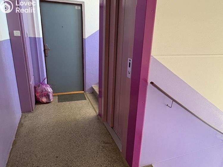 Pronájem bytu 2+1 Sušice, Sirkařská 983 č. 17