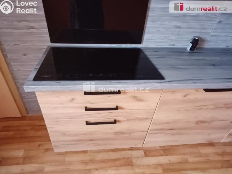 Pronájem bytu 2+1 Děčín, Jungmannova č. 2