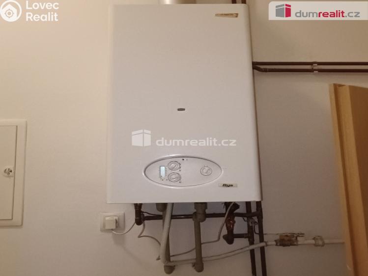 Pronájem bytu 2+1 Děčín, Jungmannova č. 13