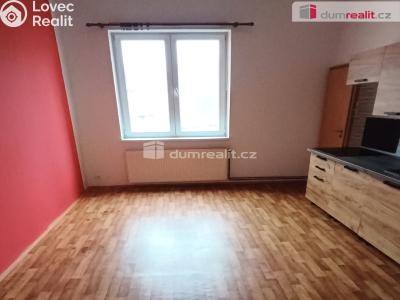 Pronájem bytu 2+1 Děčín, Jungmannova č. 6