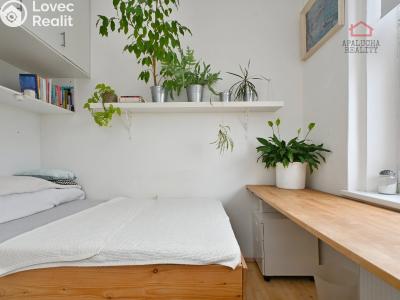 Sale apartment 2+1 Praha, Pod lázní č. 3