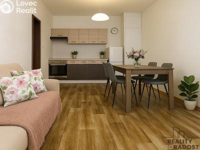 Sale apartment 2+KK České Budějovice, Otavská č. 2