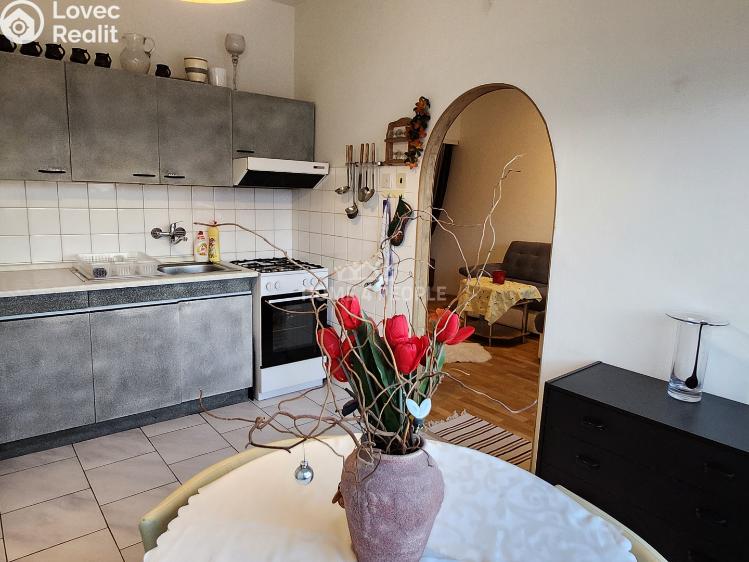 Pronájem bytu 1+1 Praha 10, Zvonková č. 3