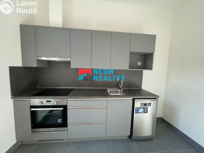 Pronájem bytu 2+KK Ostrava, Hlávkova č. 1