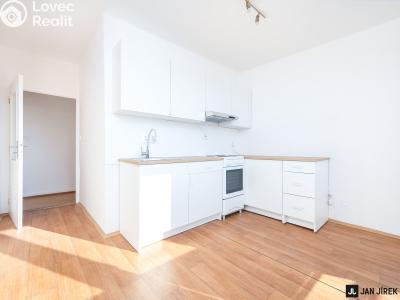 Pronájem bytu 2+1 Hradec Králové, Březhradská č. 2