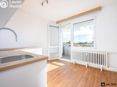 Pronájem bytu 2+1 Hradec Králové, Březhradská č. 4