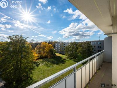 Pronájem bytu 2+1 Hradec Králové, Březhradská č. 6