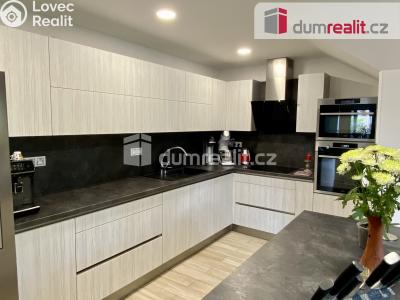 Rent family house Mariánské Lázně, třída Vítězství č. 4