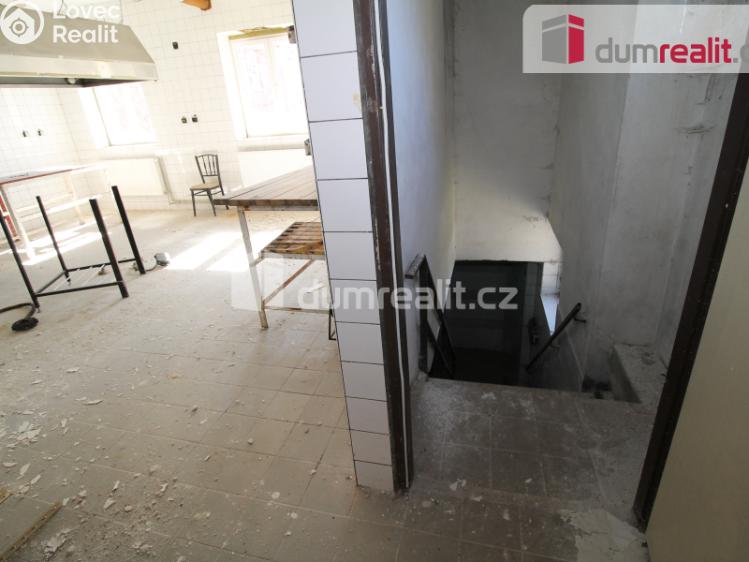 Prodej činžovního domu Lázně Kynžvart, Vrchlického č. 11