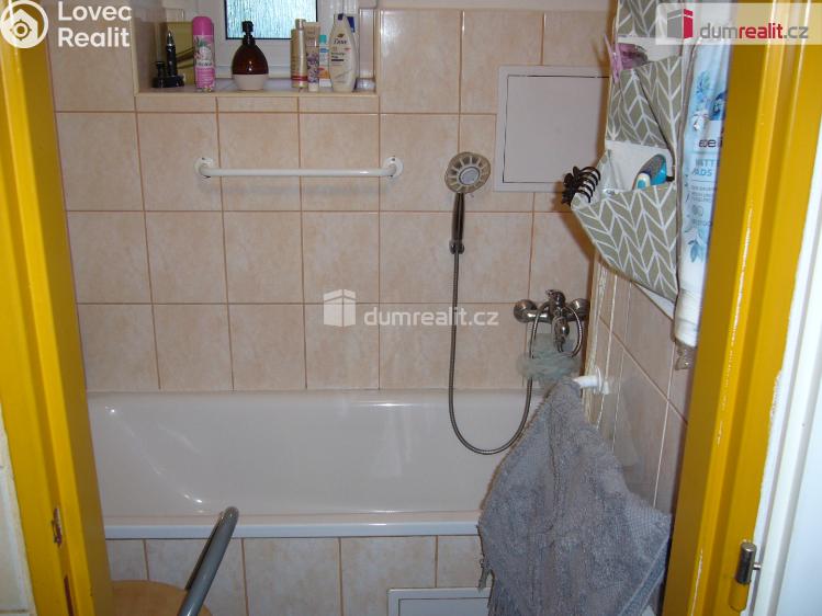 Pronájem bytu 2+1 Děčín, Revoluční nám. č. 6