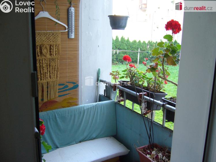 Pronájem bytu 2+1 Děčín, Revoluční nám. č. 8