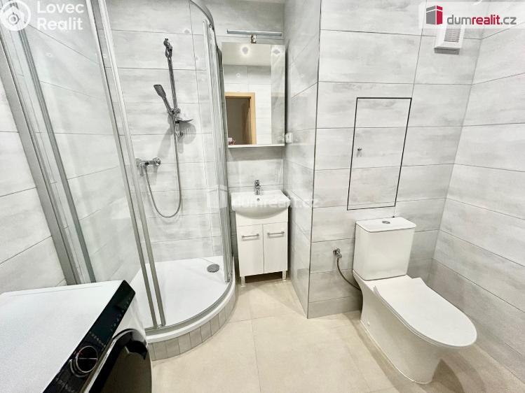 Pronájem bytu 2+1 Kolín, Seifertova č. 3