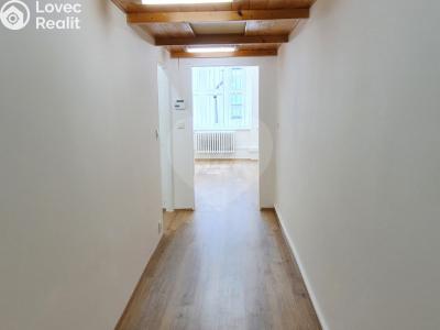 Pronájem obchodního prostoru Praha, Podolská č. 6