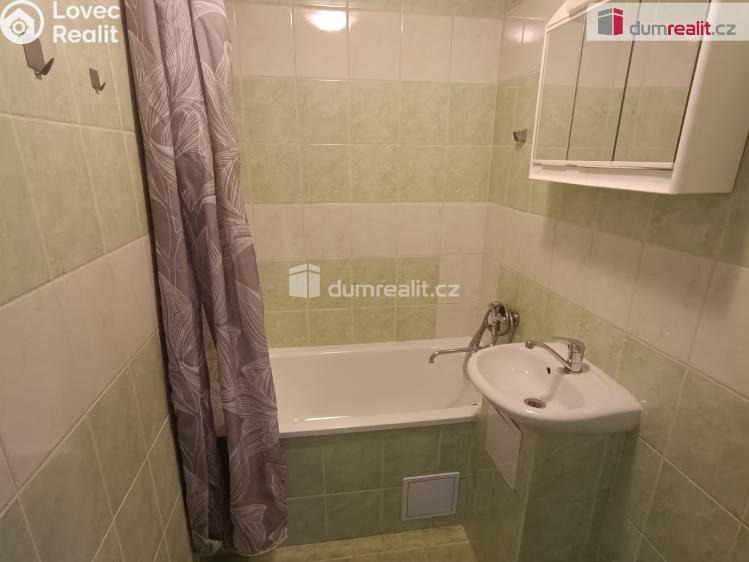 Pronájem bytu 1+1 Děčín, Lipová č. 4