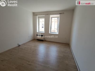 Pronájem bytu 1+1 Děčín, Lipová č. 3