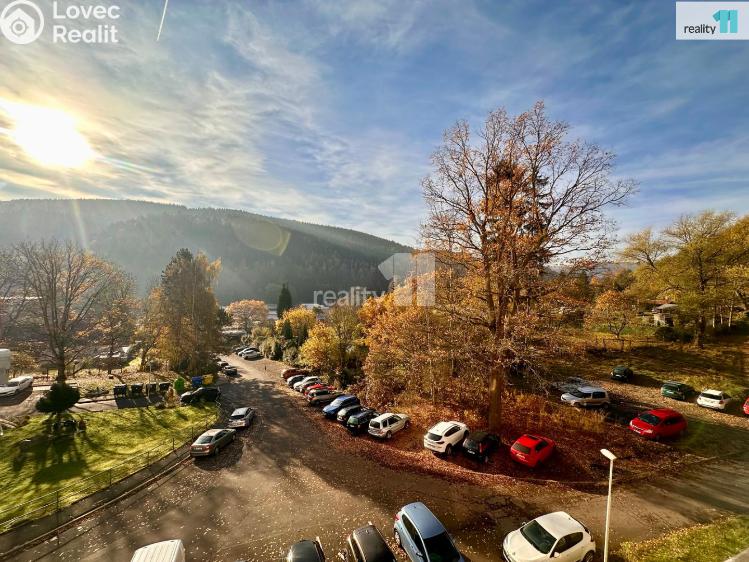 Pronájem bytu 3+1 Děčín, Nálepkova č. 13