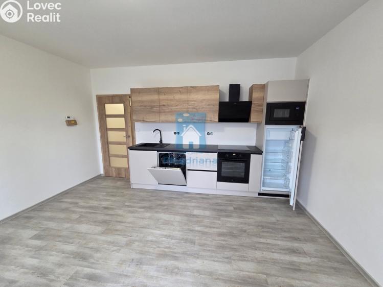 Pronájem bytu 2+KK Plzeň, Třebízského č. 4