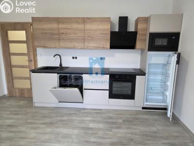 Rent apartment 2+KK Plzeň, Třebízského č. 2