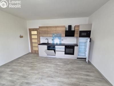 Rent apartment 2+KK Plzeň, Třebízského č. 4