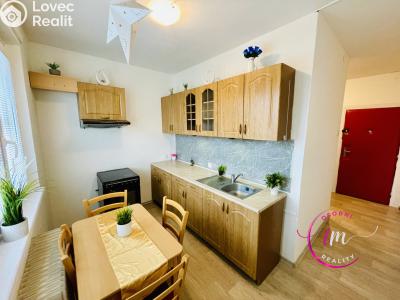 Pronájem bytu 2+1 Jihlava, U Pivovaru č. 1