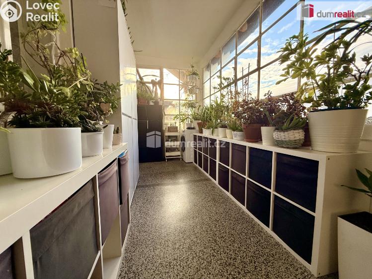 Prodej rodinného domu Ostrožská Nová Ves, Dědina č. 5