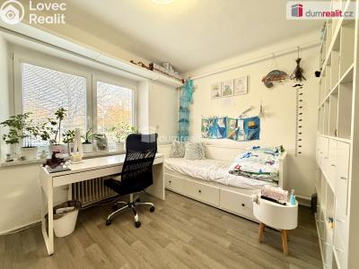 Prodej rodinného domu Ostrožská Nová Ves, Dědina č. 6