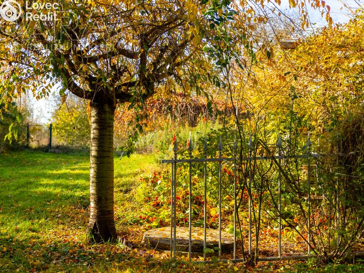 Prodej rodinného domu Lety, Pražská č. 25