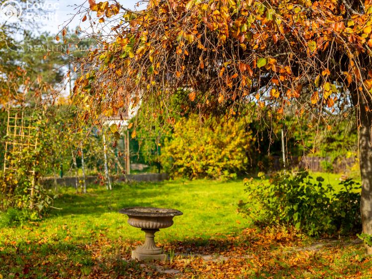 Prodej rodinného domu Lety, Pražská č. 26