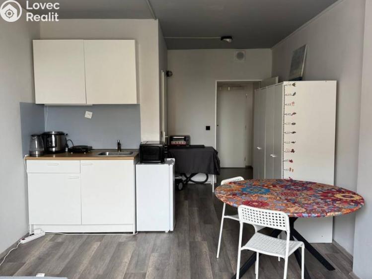 Pronájem bytu 1+KK Praha, Děčínská č. 4