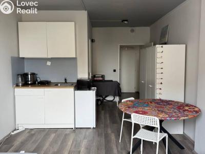 Аренда квартиры 1+KK Praha, Děčínská č. 4