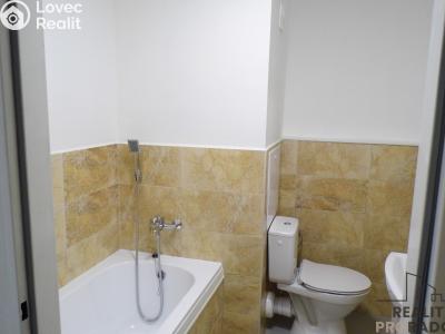 Pronájem bytu 1+1 Ústí nad Labem, Jizerská č. 5