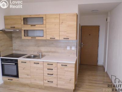 Rent apartment 1+1 Ústí nad Labem, Jizerská č. 1