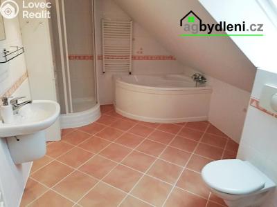 Rent apartment 2+KK Plzeň č. 5