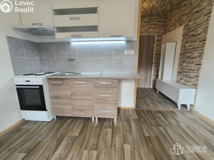 Pronájem bytu 1+1 Sokolov, Jelínkova č. 1