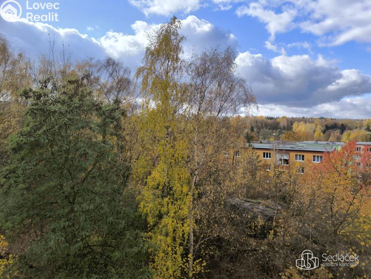 Pronájem bytu 1+1 Sokolov, Jelínkova č. 9