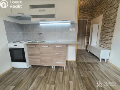 Rent apartment 1+1 Sokolov, Jelínkova č. 1