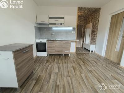 Rent apartment 1+1 Sokolov, Jelínkova č. 5