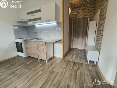 Rent apartment 1+1 Sokolov, Jelínkova č. 6