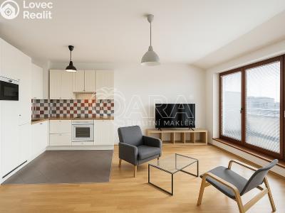Rent apartment 2+KK Praha, Paťanka č. 1
