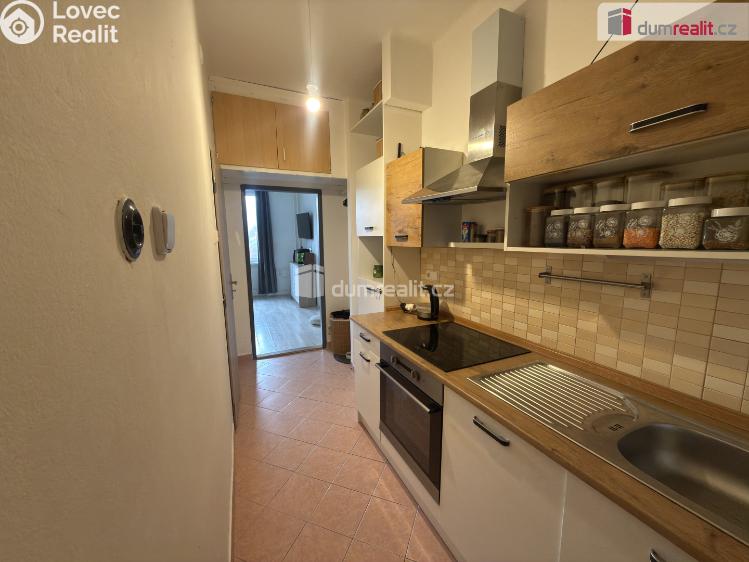 Pronájem bytu 1+KK Ústí nad Labem, Střekovské nábřeží č. 5