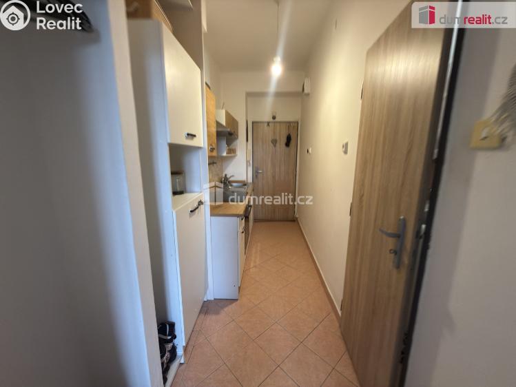 Pronájem bytu 1+KK Ústí nad Labem, Střekovské nábřeží č. 8