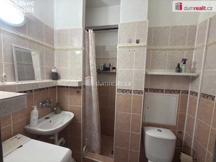 Pronájem bytu 1+KK Ústí nad Labem, Střekovské nábřeží č. 9