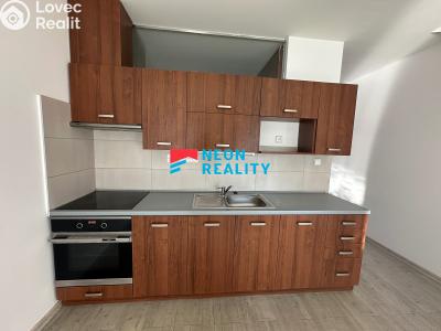 Rent apartment 1+KK Ostrava, Petra Křičky č. 1
