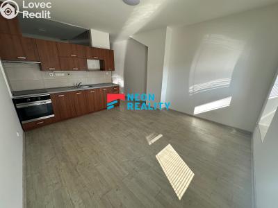 Rent apartment 1+KK Ostrava, Petra Křičky č. 2