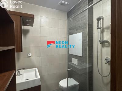 Rent apartment 1+KK Ostrava, Petra Křičky č. 4