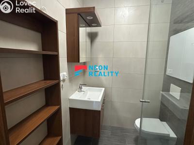 Rent apartment 1+KK Ostrava, Petra Křičky č. 6