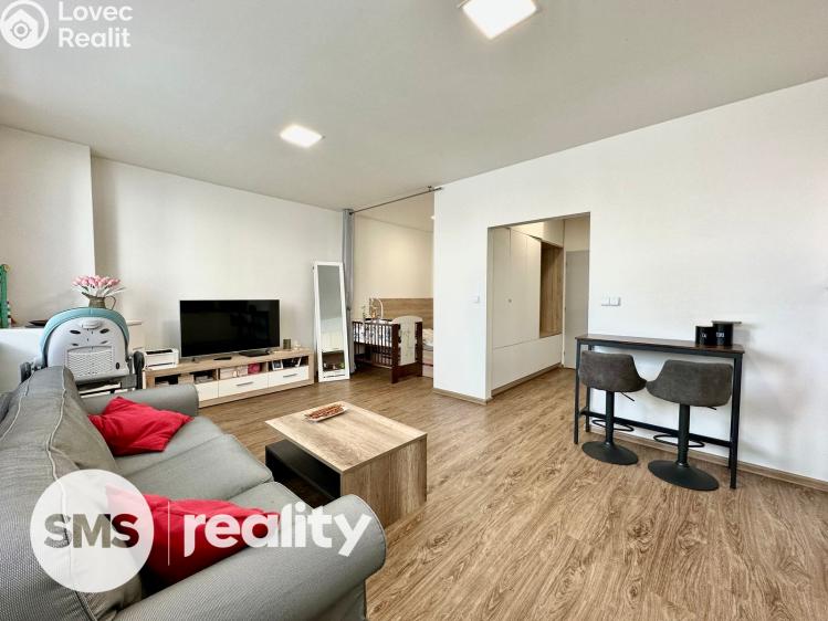 Pronájem bytu 1+KK Opava, Provaznická 2900/11 č. 1