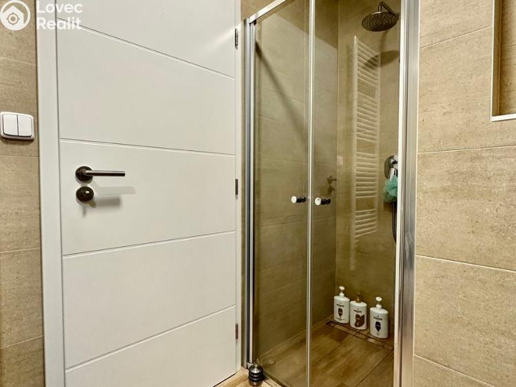 Pronájem bytu 1+KK Opava, Provaznická 2900/11 č. 8